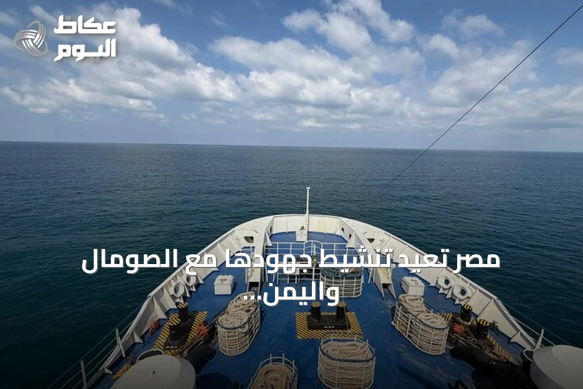 مصر تعيد تنشيط جهودها مع الصومال واليمن لتحرير البحارة المحتجزين