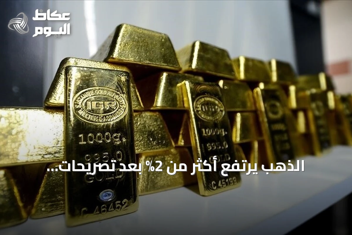 الذهب يرتفع أكثر من 2% بعد تصريحات فيدرالي عن احتمال تثبيت الفائدة