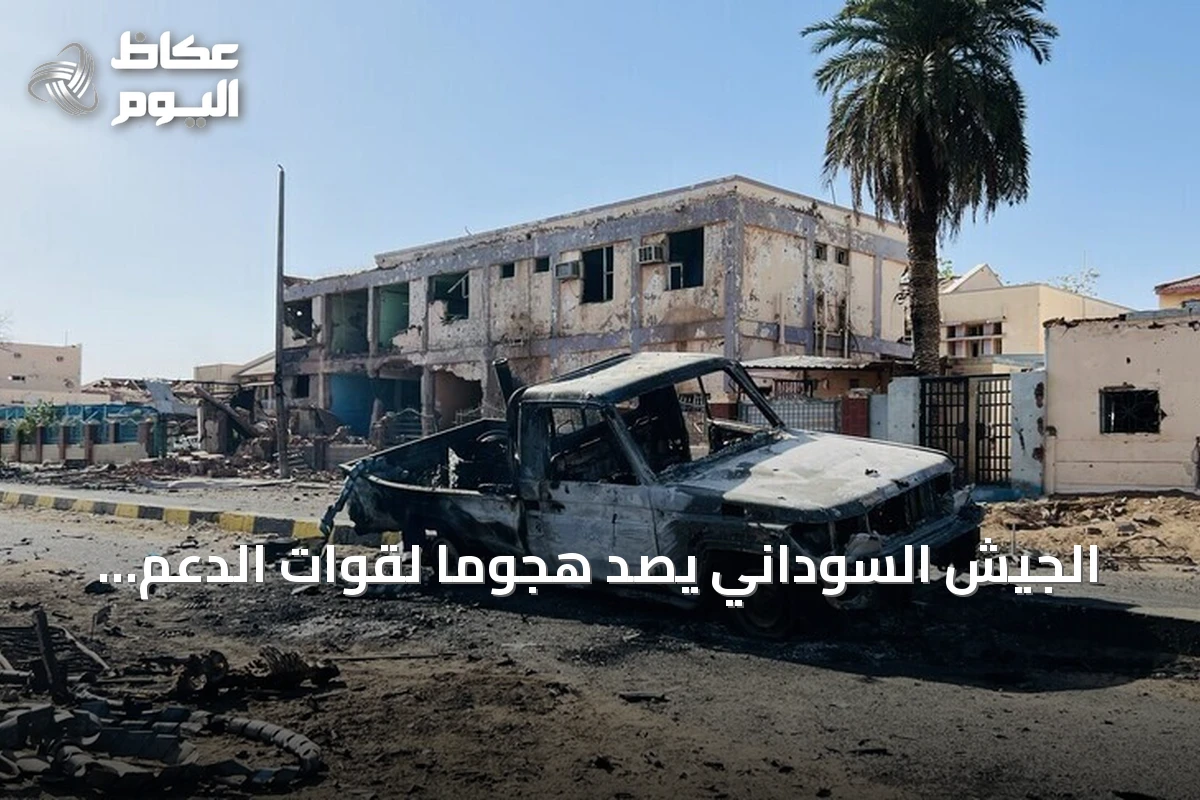 الجيش السوداني يصد هجومًا لقوات الدعم السريع والحركة الشعبية شمال على البركة