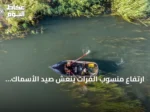 ارتفاع منسوب الفرات ينعش صيد الأسماك ويحفز السوق في الرقة