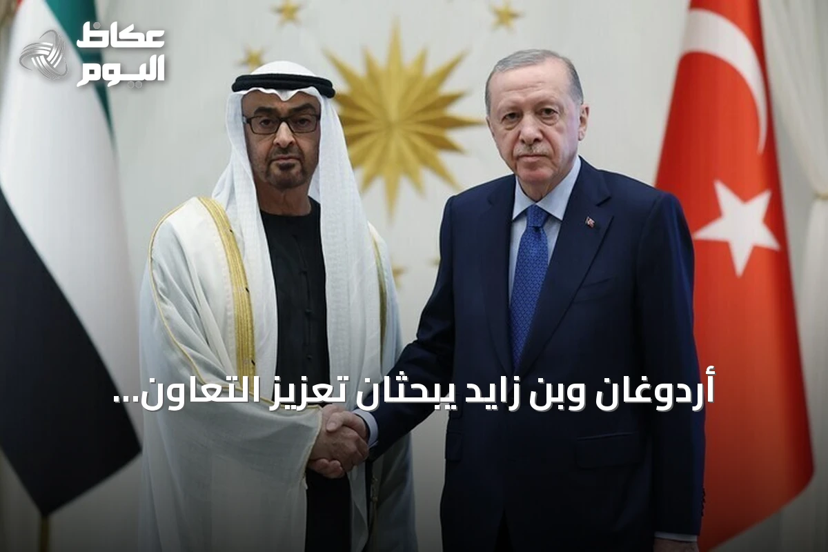 أردوغان وبن زايد يبحثان تعزيز التعاون الثنائي والقضايا الإقليمية