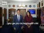 لقاء الأميرة ريما بنت بندر مع عضو الكونغرس أبراهام حمادة يعزز التعاون السعودي الأمريكي