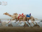 متعبة تحقق أسرع زمن في افتتاح مهرجان ولي العهد للهجن بالطائف