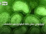 أوروغواي تعلن حالة الطوارئ بعد اكتشاف إنفلونزا الطيور في دواجن منزلية