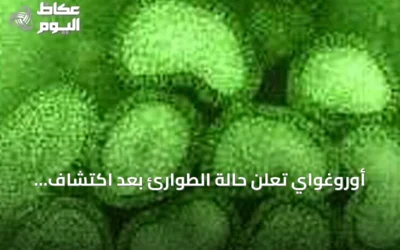 أوروغواي تعلن حالة الطوارئ بعد اكتشاف إنفلونزا الطيور في دواجن منزلية