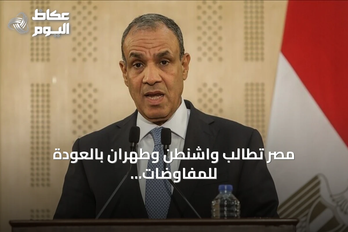 مصر تطالب واشنطن وطهران بالعودة للمفاوضات وتعتبر أمن الخليج جزءًا من أمنها القومي