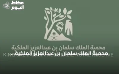 محمية الملك سلمان بن عبدالعزيز الملكية تسجل قفزات نوعية في إحياء أعداد النسور