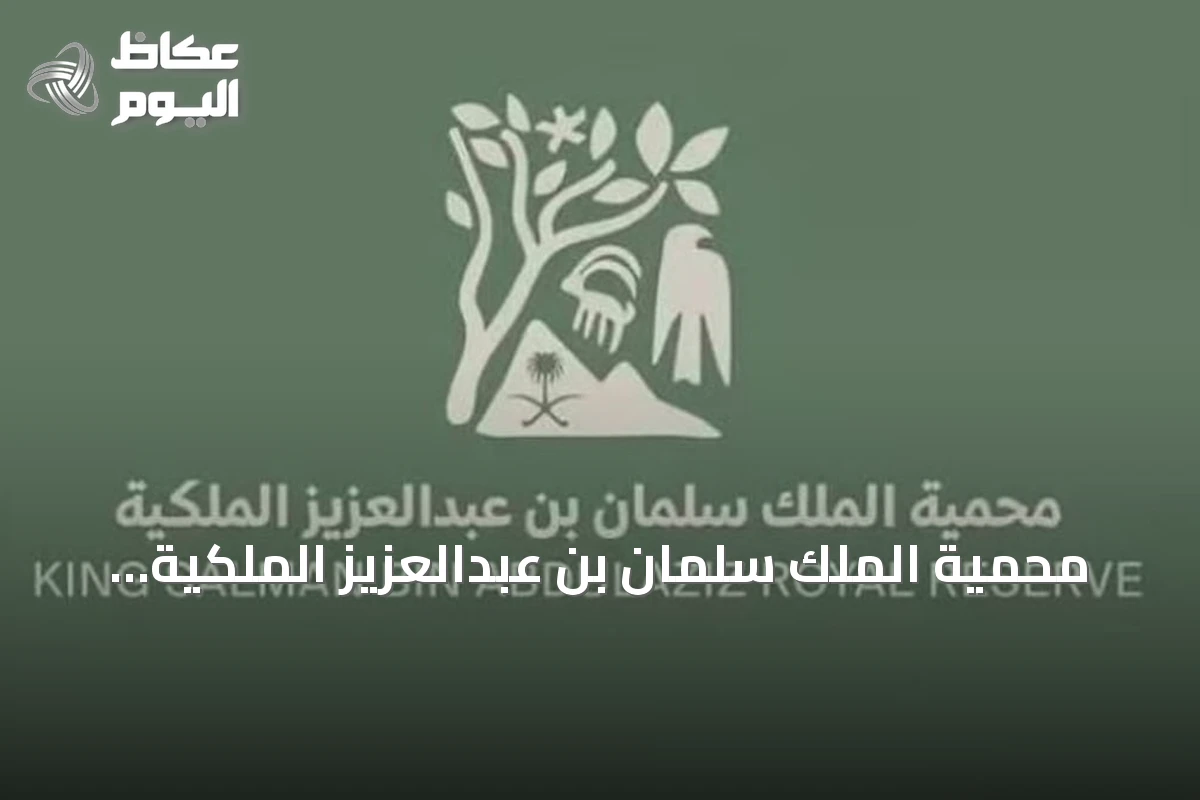 محمية الملك سلمان بن عبدالعزيز الملكية تسجل قفزات نوعية في إحياء أعداد النسور