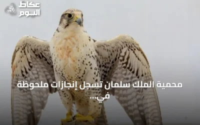 محمية الملك سلمان تسجل إنجازات ملحوظة في إعادة توطين النسور