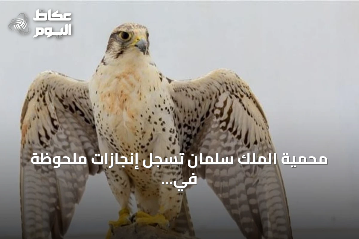 محمية الملك سلمان تسجل إنجازات ملحوظة في إعادة توطين النسور