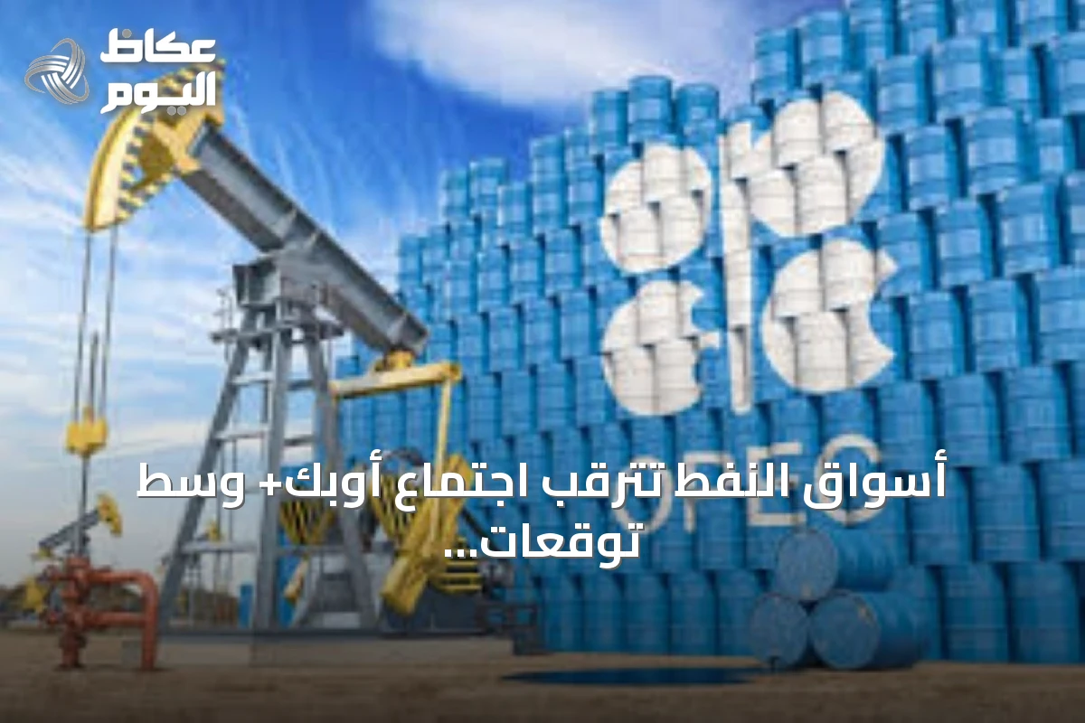 أسواق النفط تترقب اجتماع أوبك+ وسط توقعات بتقلبات الأسعار والتضخم
