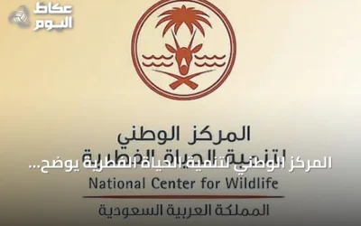 المركز الوطني لتنمية الحياة الفطرية يوضح أوقات الصيد المسموحة ويحظر ممارسته ليلًا