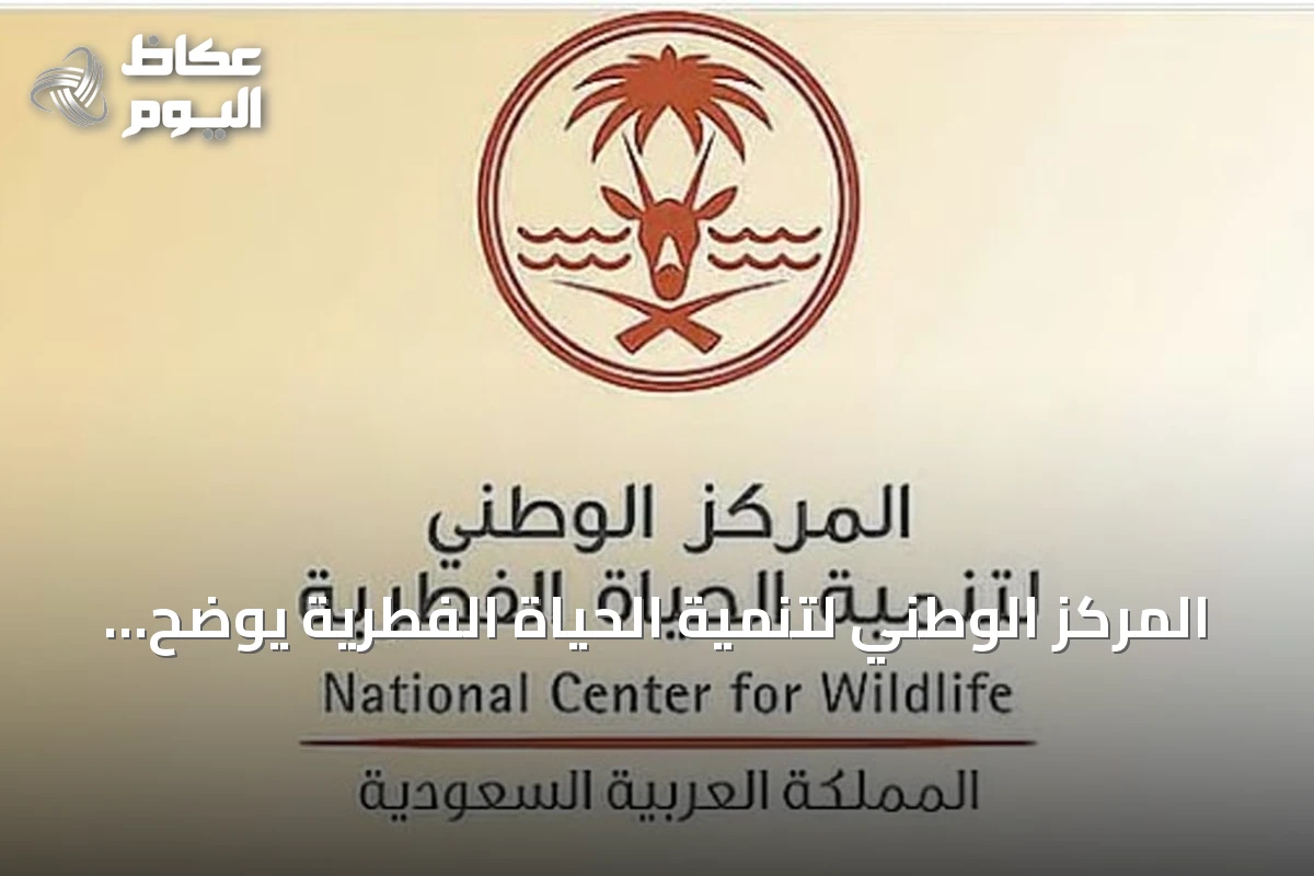 المركز الوطني لتنمية الحياة الفطرية يوضح أوقات الصيد المسموحة ويحظر ممارسته ليلًا