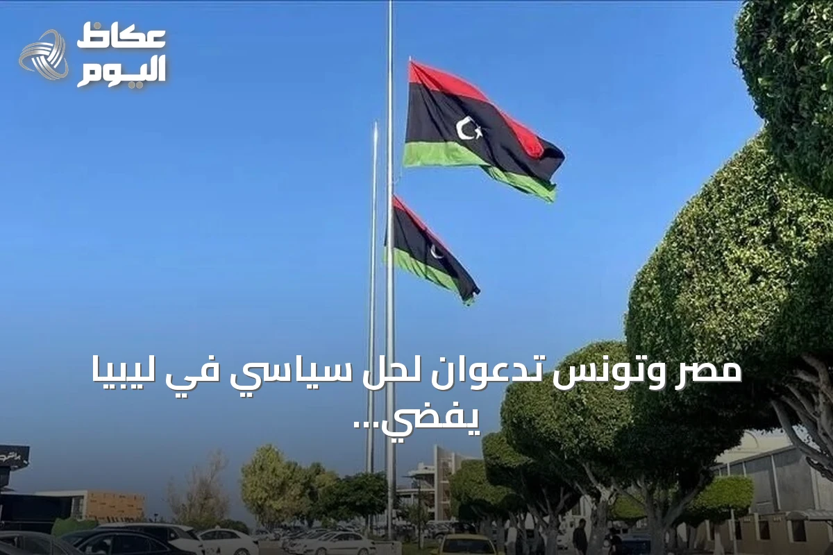 مصر وتونس تدعوان لحل سياسي في ليبيا يفضي إلى انتخابات متزامنة