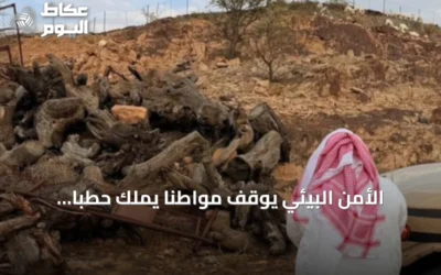الأمن البيئي يوقف مواطنًا يملك حطبًا محليًا بكمية تفوق الحد المسموح في عسير