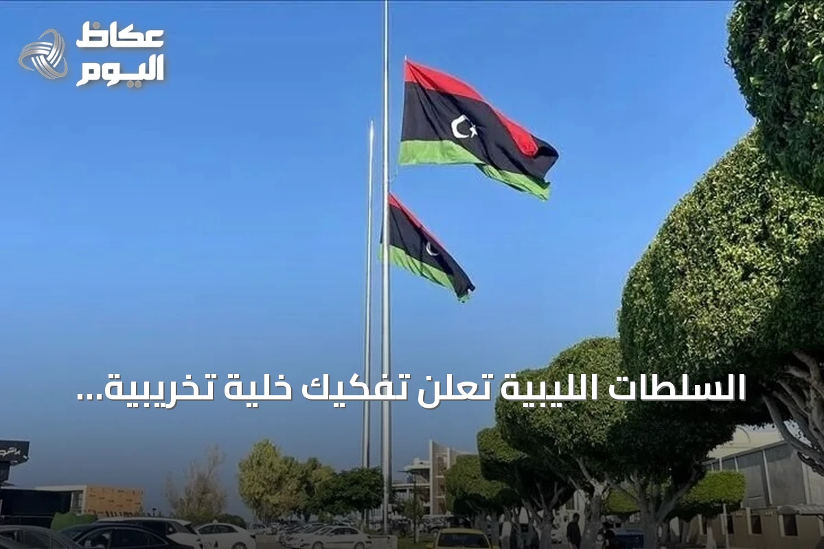 السلطات الليبية تعلن تفكيك خلية تخريبية ضمت مواطنين وأجانب استهدفت منشآت نفطية وحيوية بطائرات مسيّرة