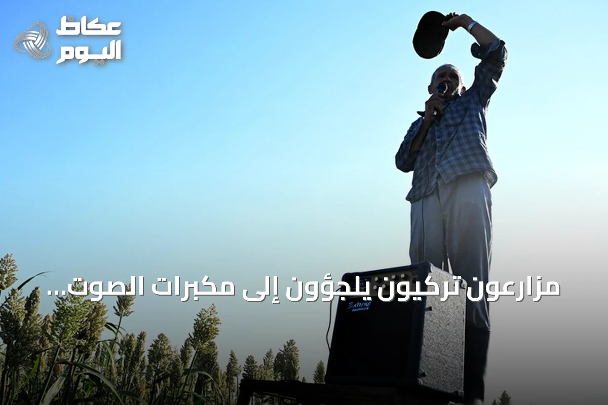 مزارعون تركيون يلجؤون إلى مكبرات الصوت لطرد العصافير عن حقول الدخن