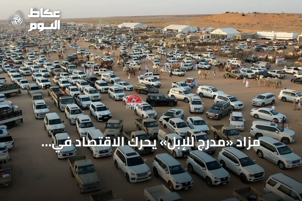 مزاد «مدرج للإبل» يحرّك الاقتصاد في القصيم بصفقات ضخمة ومشاركة واسعة