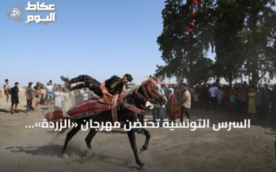 السرس التونسية تحتضن مهرجان «الزردة».. موائد الكسكسي وعروض الفرسان تتوج موسم الحصاد