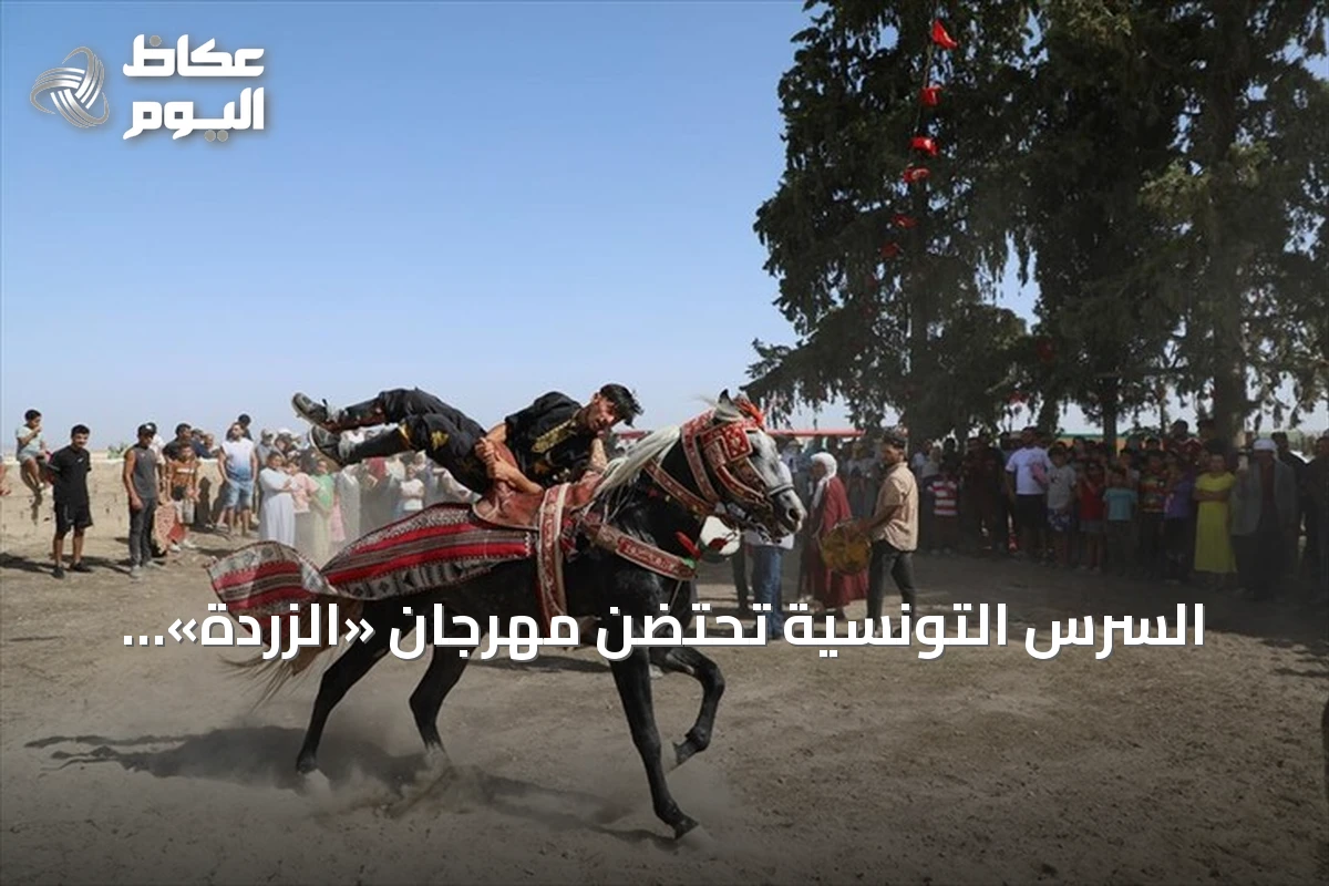 السرس التونسية تحتضن مهرجان «الزردة».. موائد الكسكسي وعروض الفرسان تتوج موسم الحصاد