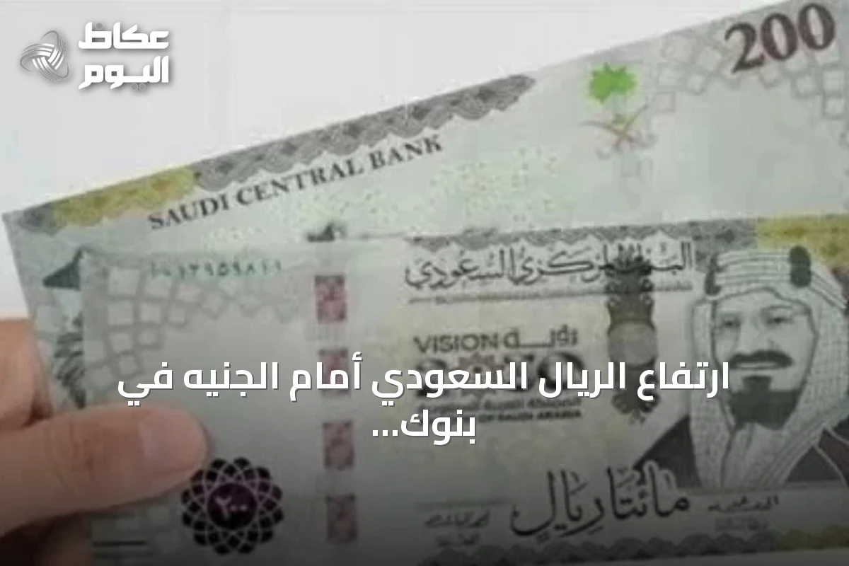 ارتفاع الريال السعودي أمام الجنيه في بنوك مصر