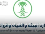 الوزارة تجري أكثر من 12 ألف زيارة تفتيشية لأسواق النفع العام في أغسطس 2026