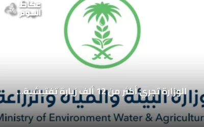 الوزارة تجري أكثر من 12 ألف زيارة تفتيشية لأسواق النفع العام في أغسطس 2026