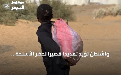 واشنطن تؤيد تمديدًا قصيرًا لحظر الأسلحة في السودان بعد قرار مجلس الأمن