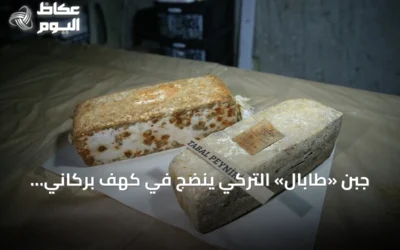 جبن «طابال» التركي ينضج في كهف بركاني بعمق 14 مترًا ويصل إلى الموائد بعد نضج طبيعي