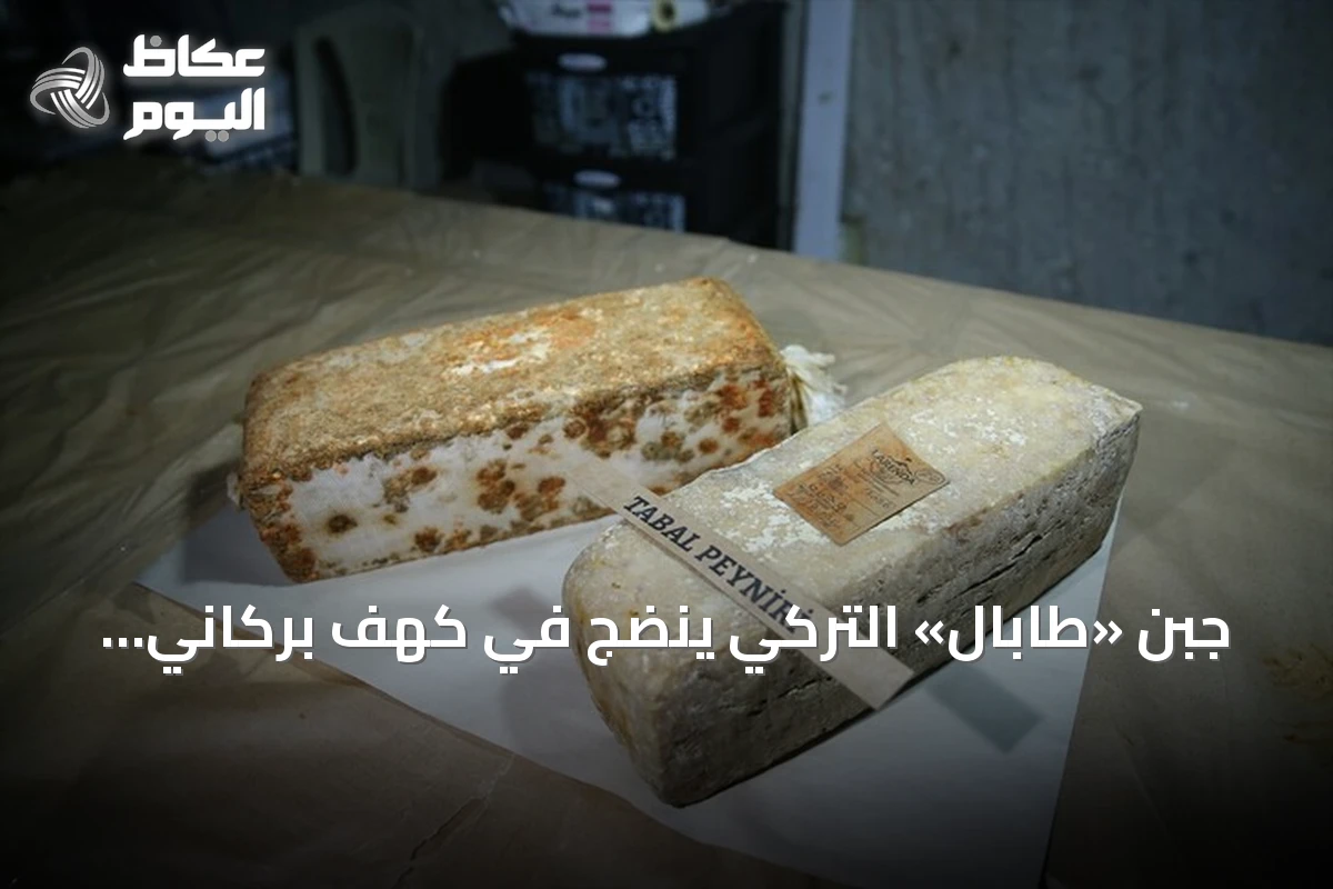 جبن «طابال» التركي ينضج في كهف بركاني بعمق 14 مترًا ويصل إلى الموائد بعد نضج طبيعي
