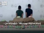 إحباط محاولة تهريب 140 كيلوجراماً من القات في قطاع الربوعة بعسير