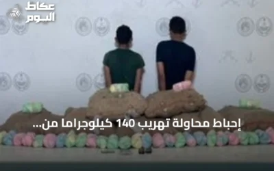 إحباط محاولة تهريب 140 كيلوجراماً من القات في قطاع الربوعة بعسير