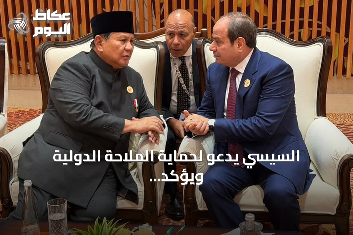 السيسي يدعو لحماية الملاحة الدولية ويؤكد على قضايا غزة والسودان خلال قمة بريكس