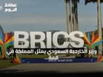 وزير الخارجية السعودي يمثل المملكة في قمة بريكس بالهند