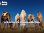 هيئة تطوير محمية الإمام عبدالعزيز بن محمد تدعو إلى احترام مواعيد خروج الحيوانات من المراعي