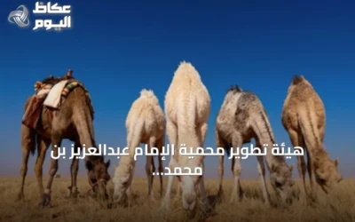 هيئة تطوير محمية الإمام عبدالعزيز بن محمد تدعو إلى احترام مواعيد خروج الحيوانات من المراعي