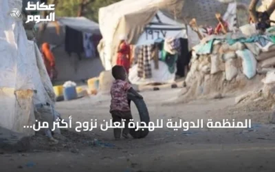 المنظمة الدولية للهجرة تعلن نزوح أكثر من 82 ألفاً من الساحل الغربي لليمن منذ بداية سبتمبر
