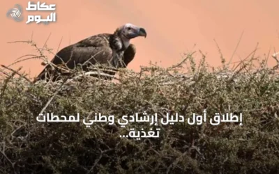 إطلاق أول دليل إرشادي وطني لمحطات تغذية النسور في السعودية بالتعاون مع خمس جهات دولية