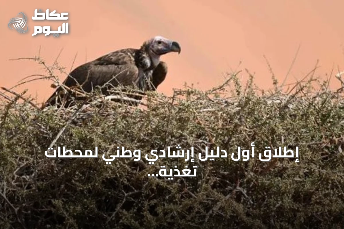 إطلاق أول دليل إرشادي وطني لمحطات تغذية النسور في السعودية بالتعاون مع خمس جهات دولية