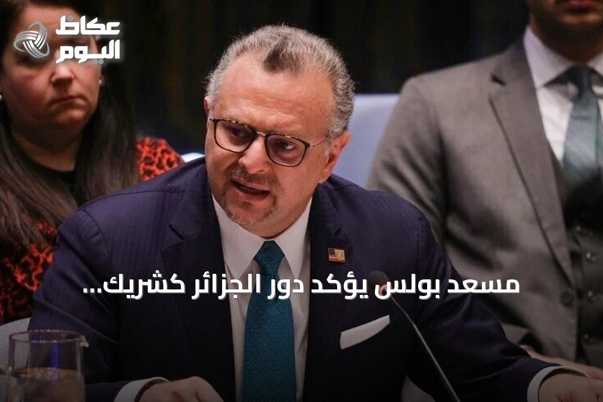 مسعد بولس يؤكد دور الجزائر كشريك استراتيجي للولايات المتحدة