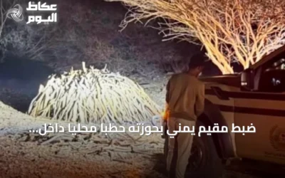 ضبط مقيم يمني بحوزته حطبًا محليًا داخل محمية الإمام فيصل بن تركي