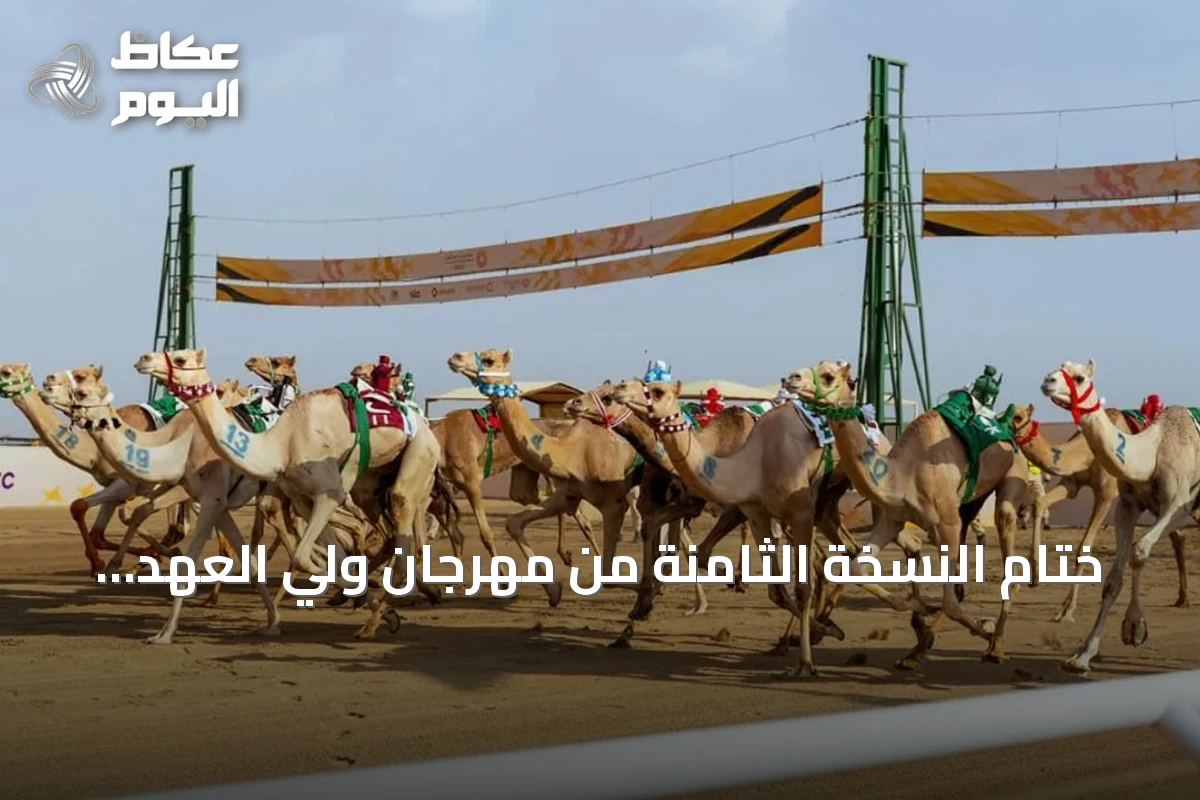 ختام النسخة الثامنة من مهرجان ولي العهد للهجن: إرث يتجدد ومستقبل يصنع