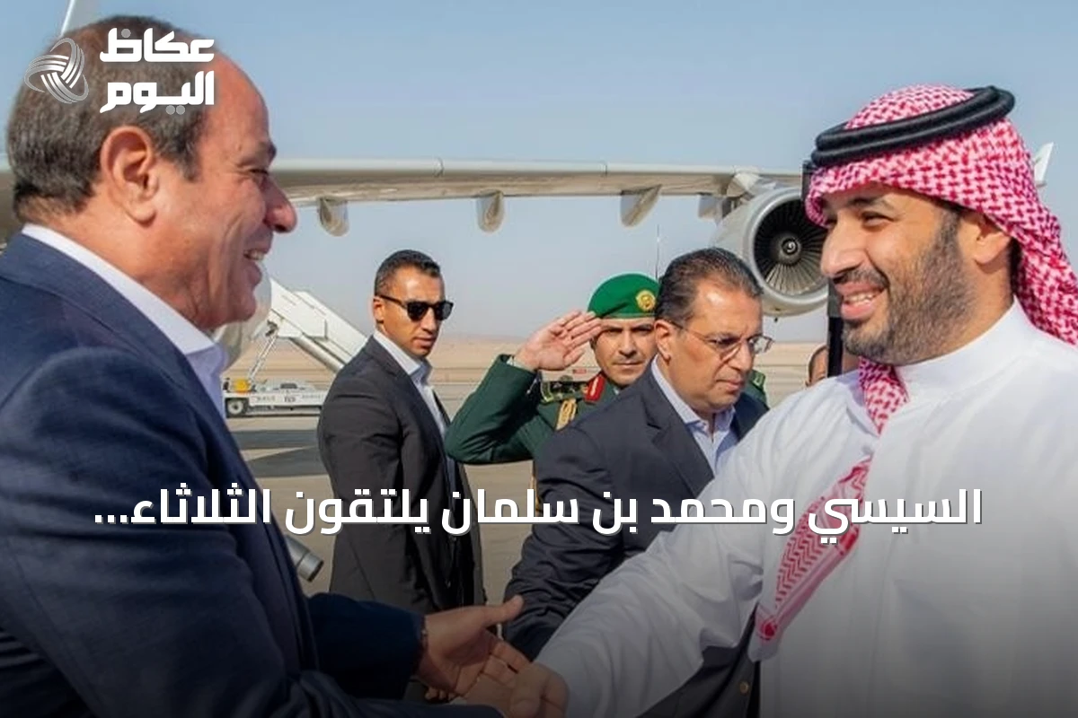 السيسي ومحمد بن سلمان يلتقون الثلاثاء لتعزيز التعاون ومناقشة تطورات الإقليم