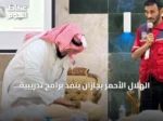 الهلال الأحمر بجازان ينفذ برامج تدريبية لنشر الثقافة الإسعافية بمناسبة اليوم العالمي للإسعافات الأولية