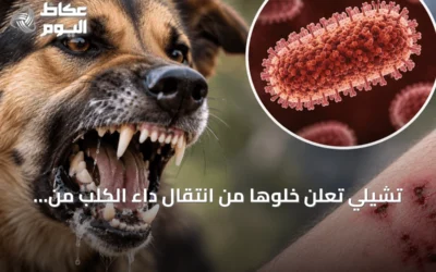تشيلي تُعلن خلوها من انتقال داء الكلب من الكلاب إلى البشر كأول دولة في أمريكا الجنوبية