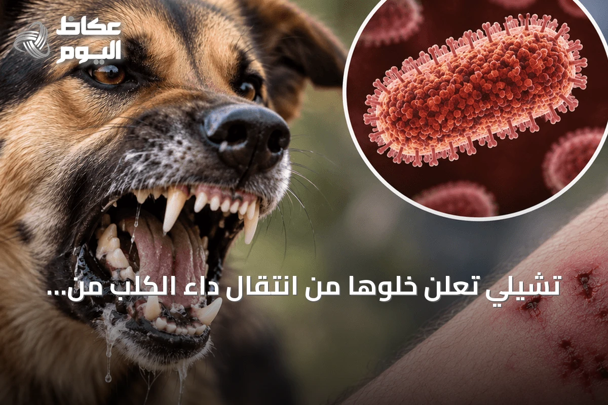 تشيلي تُعلن خلوها من انتقال داء الكلب من الكلاب إلى البشر كأول دولة في أمريكا الجنوبية