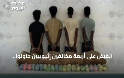 القبض على أربعة مخالفين إثيوبيين حاولوا تهريب 80 كيلوجراماً من القات بمنطقة عسير