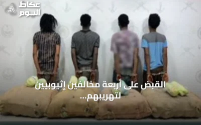 القبض على أربعة مخالفين إثيوبيين لتهريبهم 80 كيلوجراماً من القات بجازان