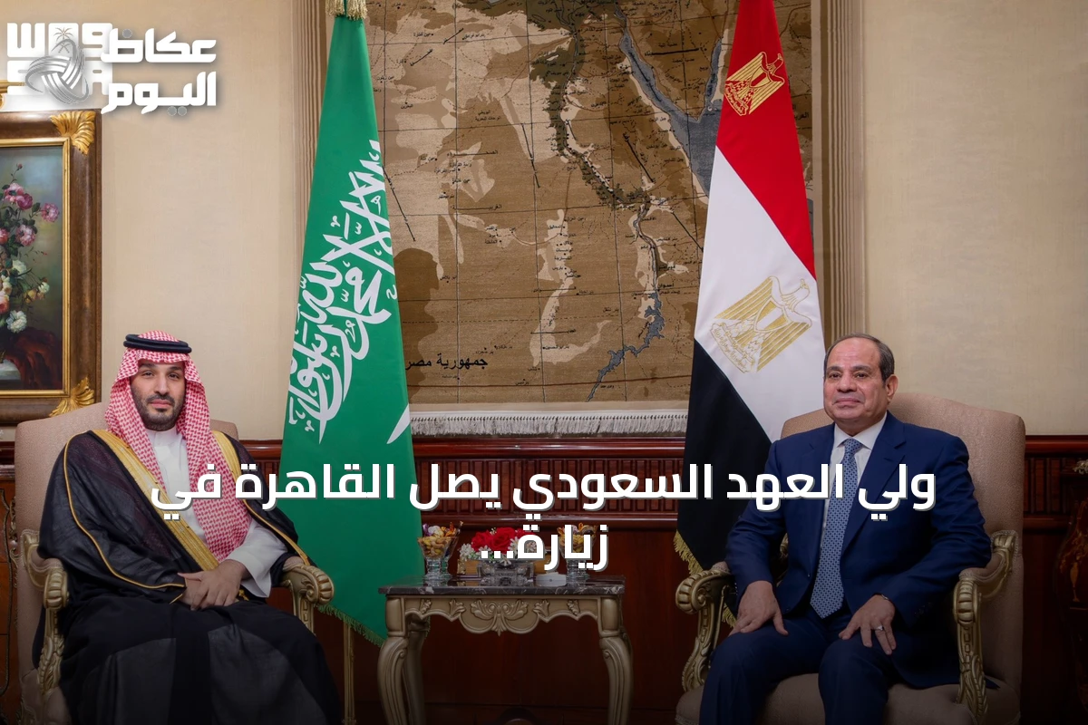 ولي العهد السعودي يصل القاهرة في زيارة عمل ويستقبله الرئيس السيسي