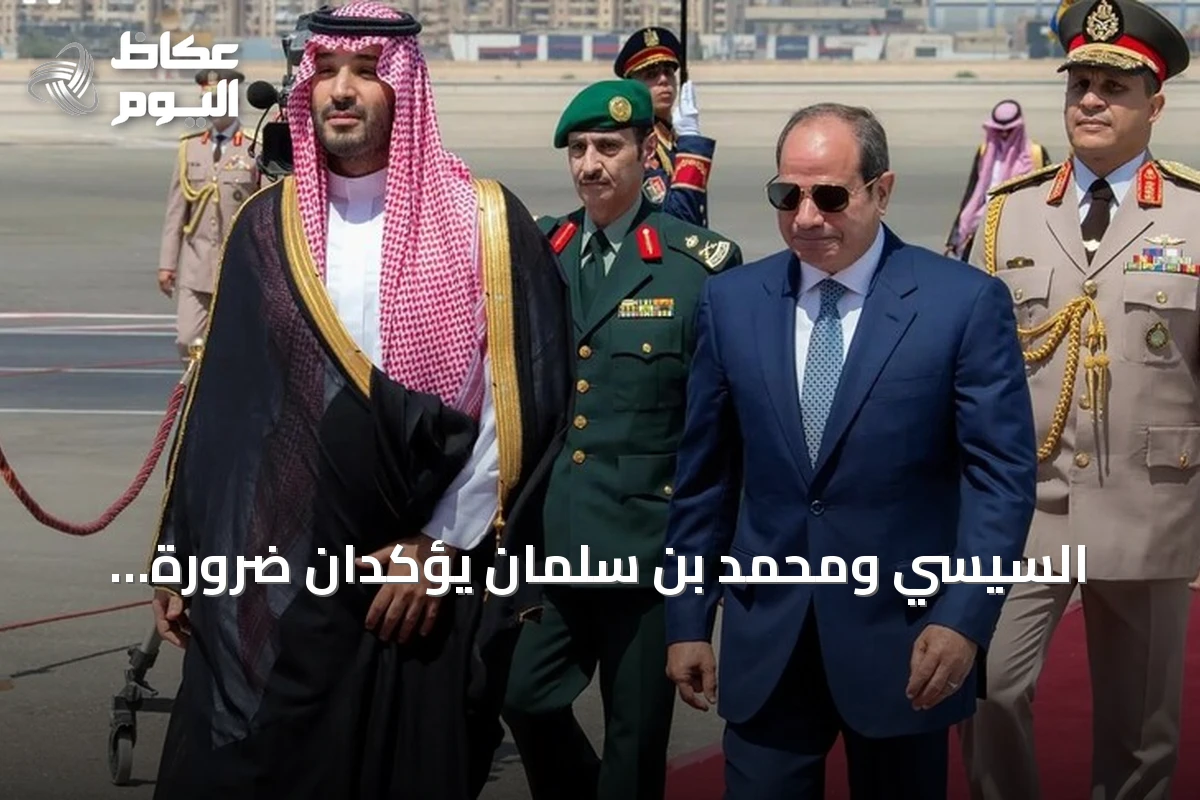 السيسي ومحمد بن سلمان يؤكدان ضرورة التضامن والتنسيق لمواجهة التحديات الإقليمية